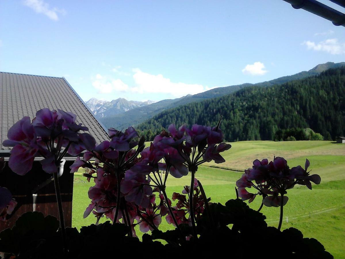 Pension Anderlehof Sankt Lorenzen im Lesachtal Экстерьер фото
