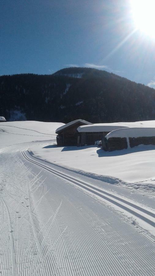 Pension Anderlehof Sankt Lorenzen im Lesachtal Экстерьер фото